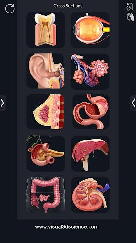 My Organs Anatomy ภาพหน้าจอ 2