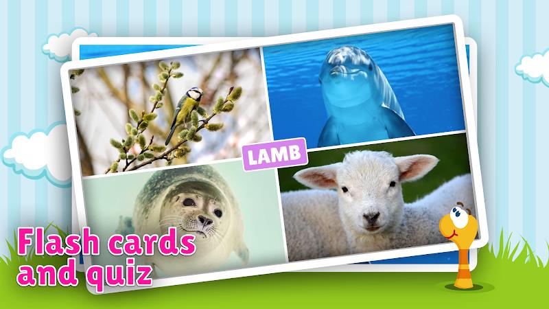 Animal flashcard & sounds Screenshot 2