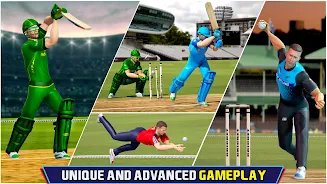 Indian Cricket Championship Скриншот 1