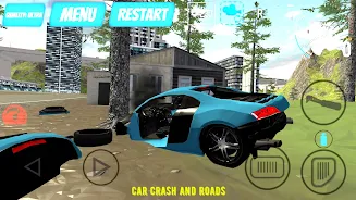 Car Crash And Roads স্ক্রিনশট 1