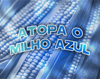 Atopa o Milho Azul Capture d'écran 1