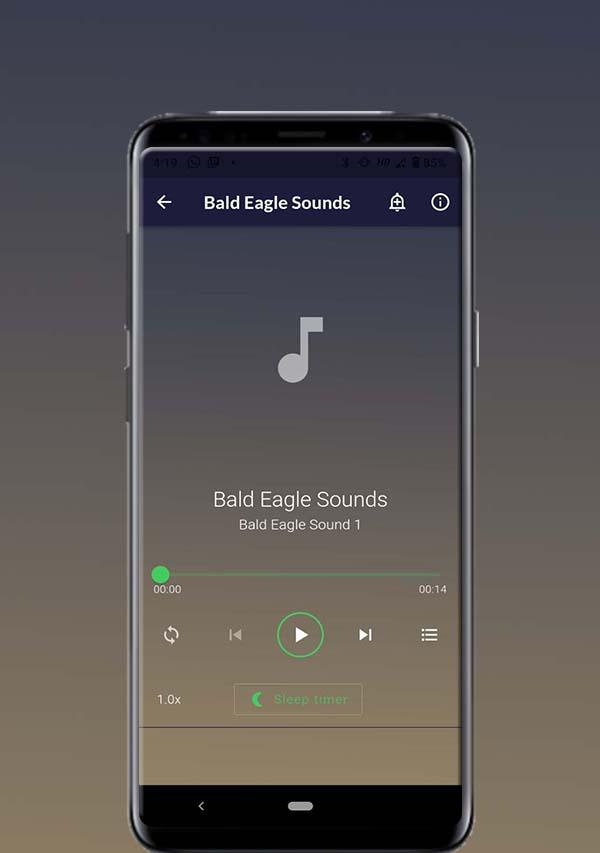 Bald Eagle Sounds 스크린샷 2