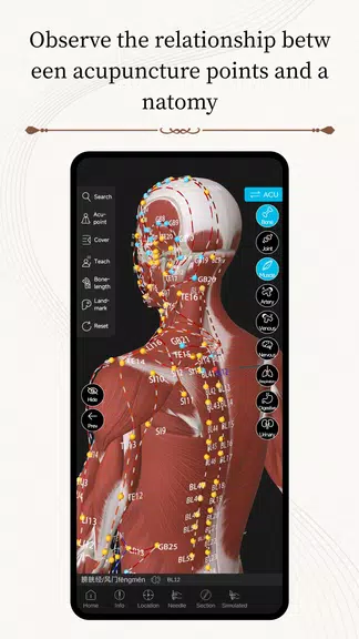 Schermata Acupuncture Master 3
