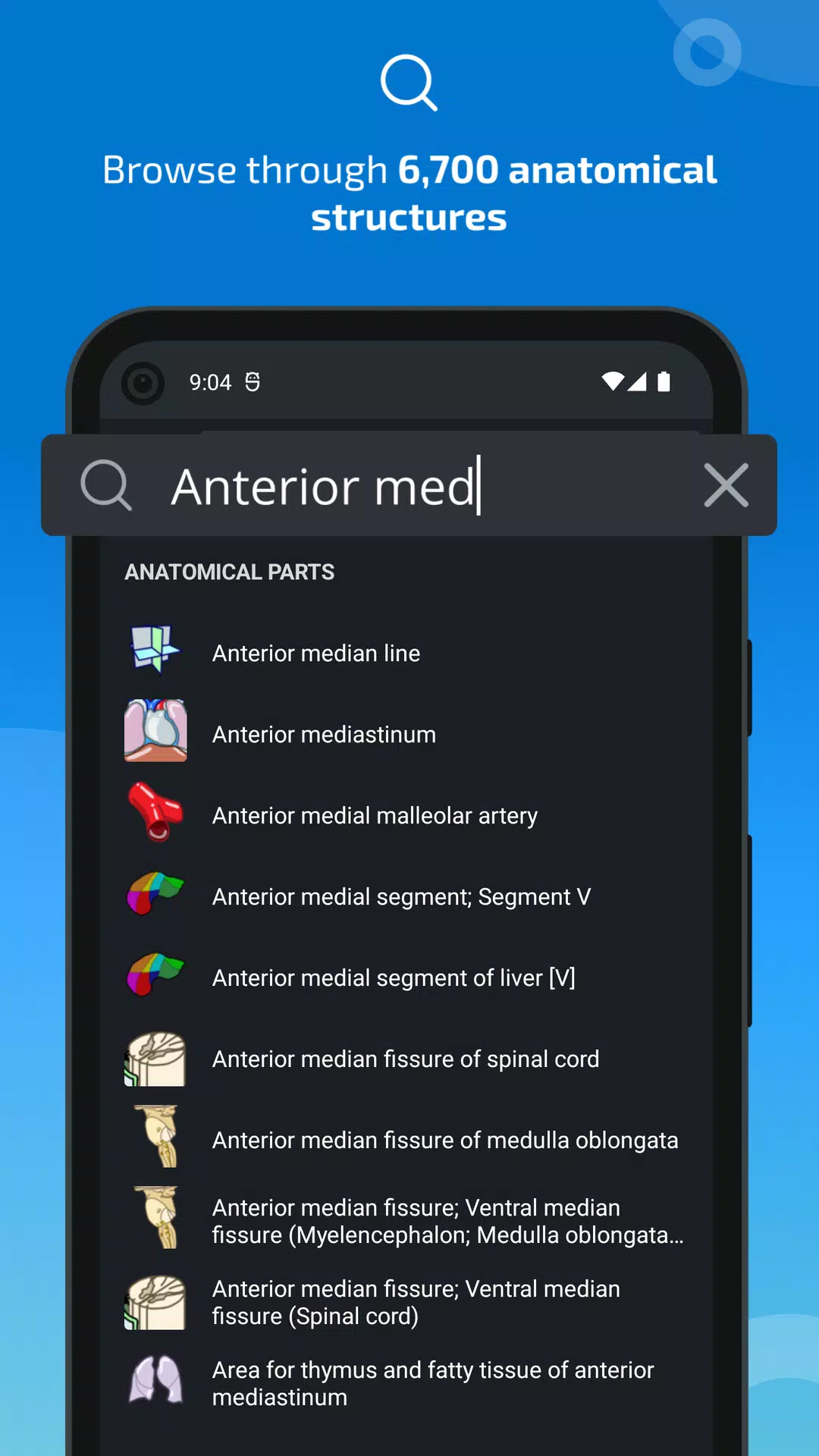 e-Anatomy Ekran Görüntüsü 3