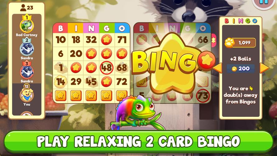 Bingo:  Free the Pets Screenshot 2