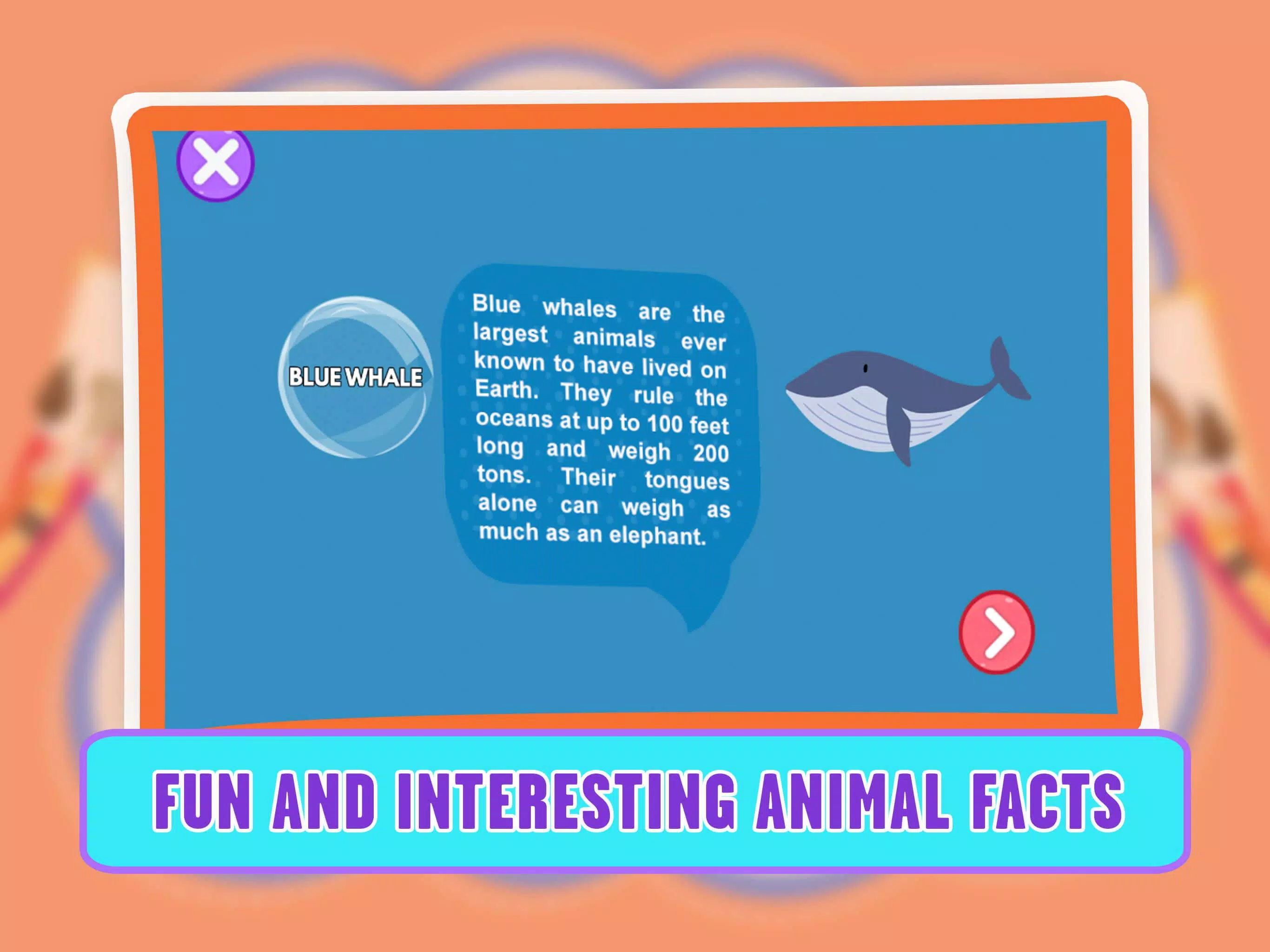 Learning Animal Coloring Games Screenshot 4