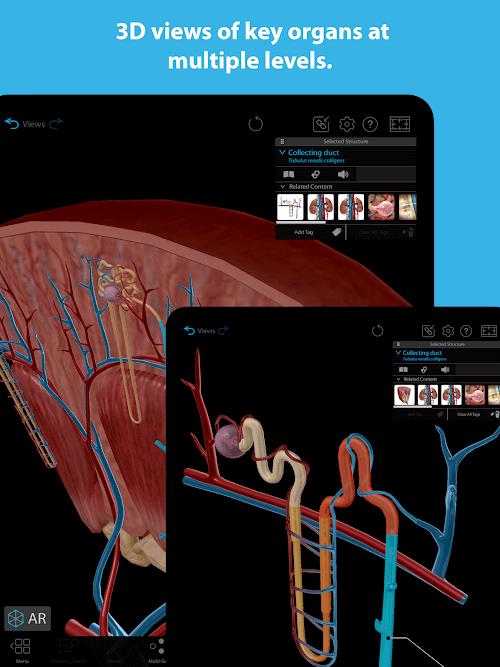 Human Anatomy Atlas 2023 Ekran Görüntüsü 3