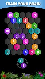 Merge Hexa - Number Puzzle Ảnh chụp màn hình 2