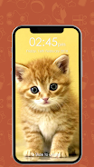 Kitty Cat Pin Lock Screen Ảnh chụp màn hình 1