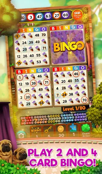 Bingo Pets Party: Dog Days Screenshot 1