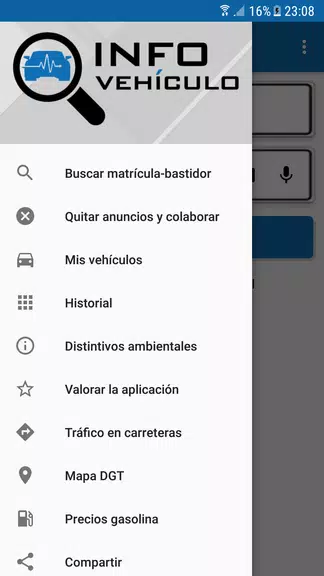Schermata InfovehículoConsultarMatrícula 4