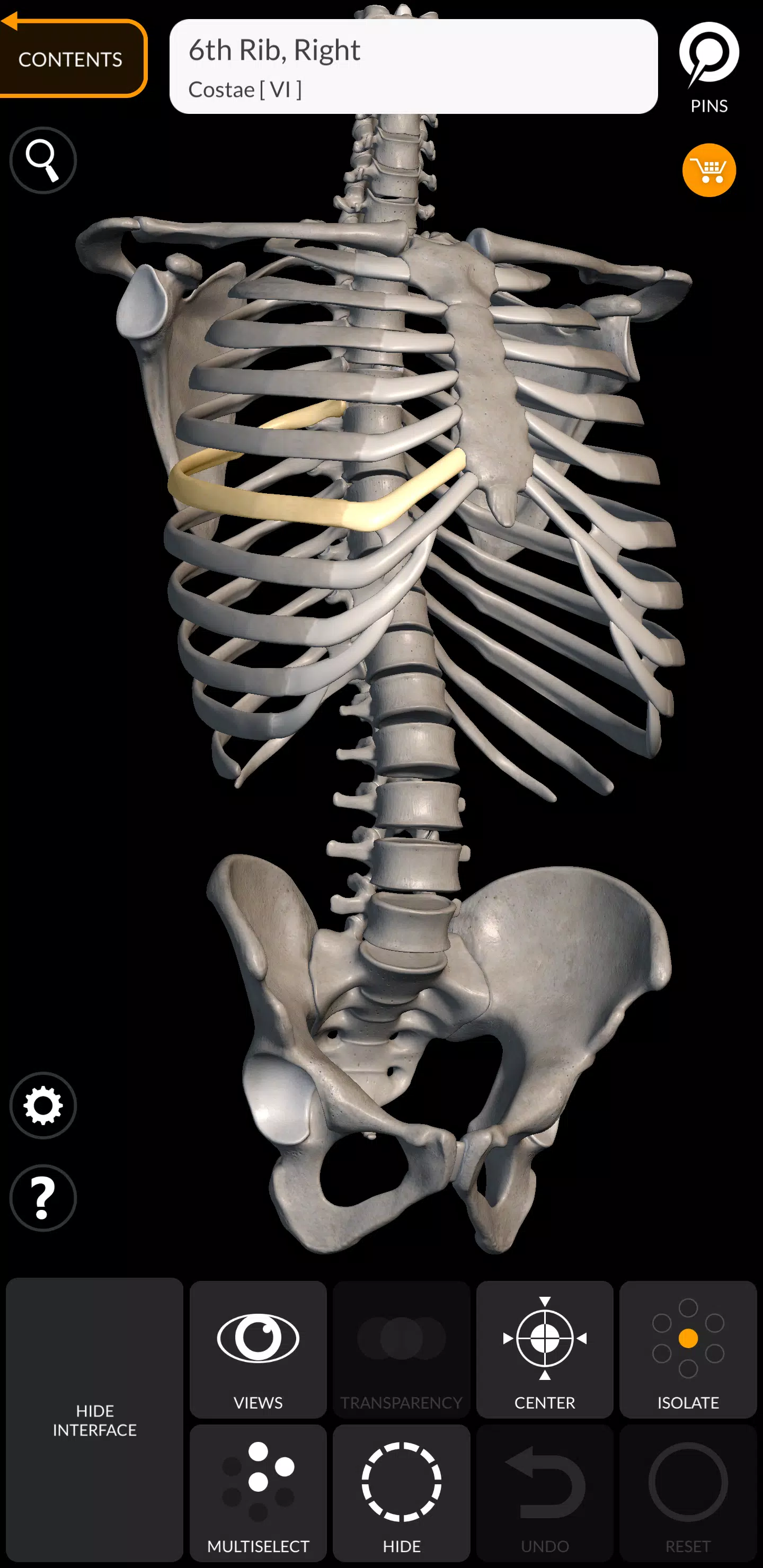 Skeleton Zrzut ekranu 1