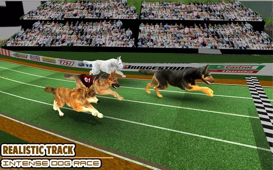 Dog racing games - dog game 3d 스크린샷 1