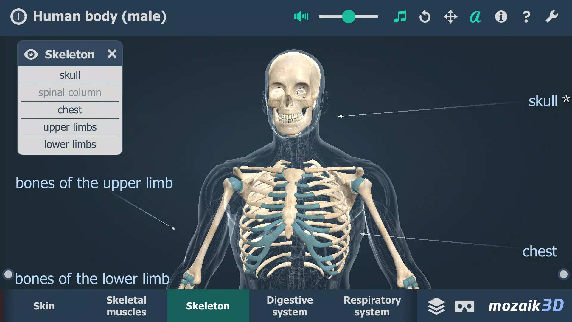 Human body (male) 3D scene ဖန်သားပြင်ဓာတ်ပုံ 3