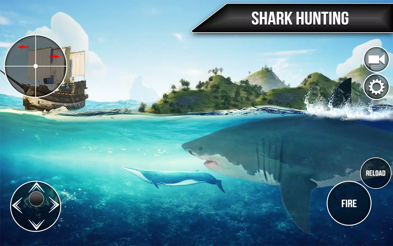 Wild Shark Fish Hunting game Screenshot 4