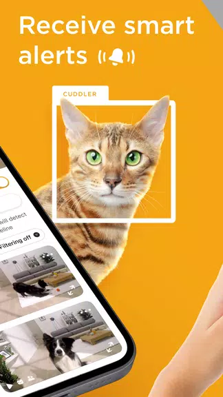 Petcube 스크린샷 2