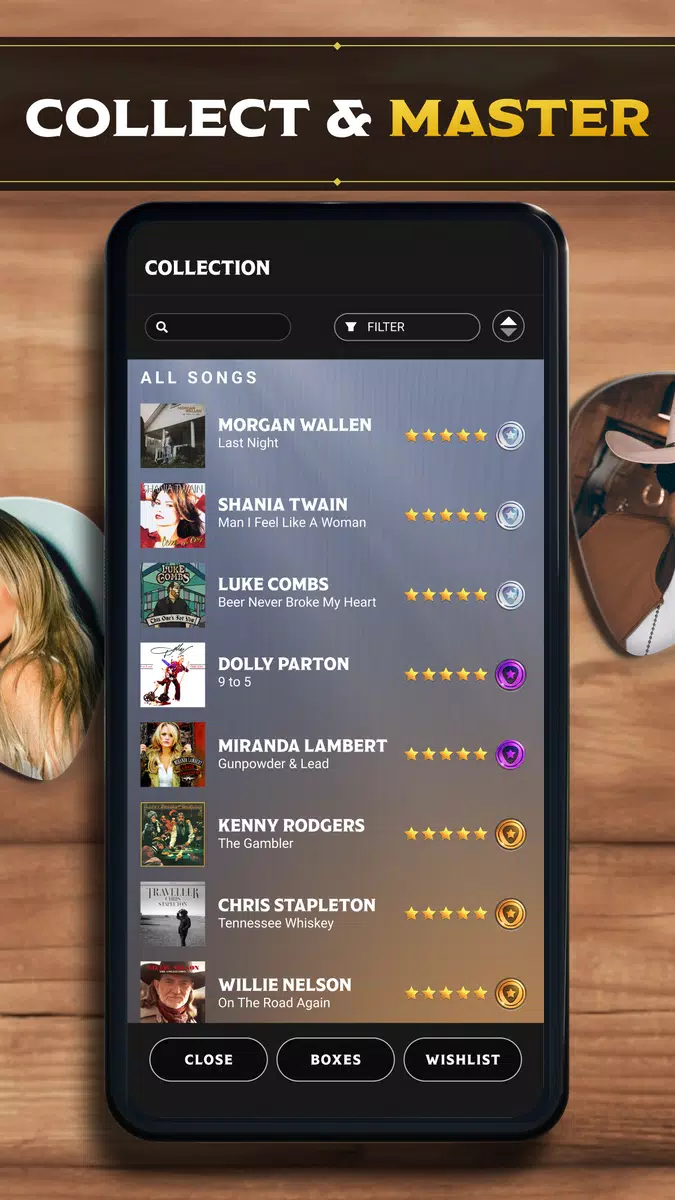Country Star Screenshot 3