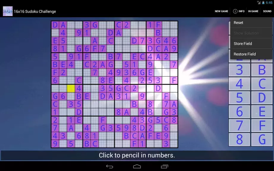 16x16 Sudoku Challenge HD應用截圖第4張