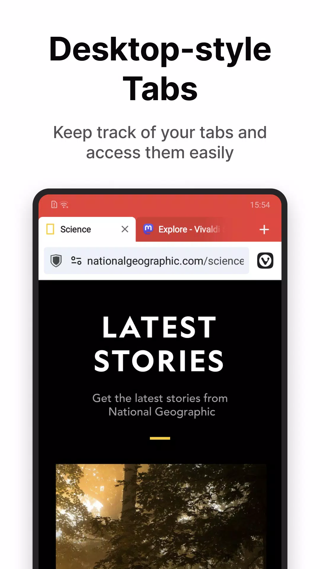 Vivaldi Screenshot 2