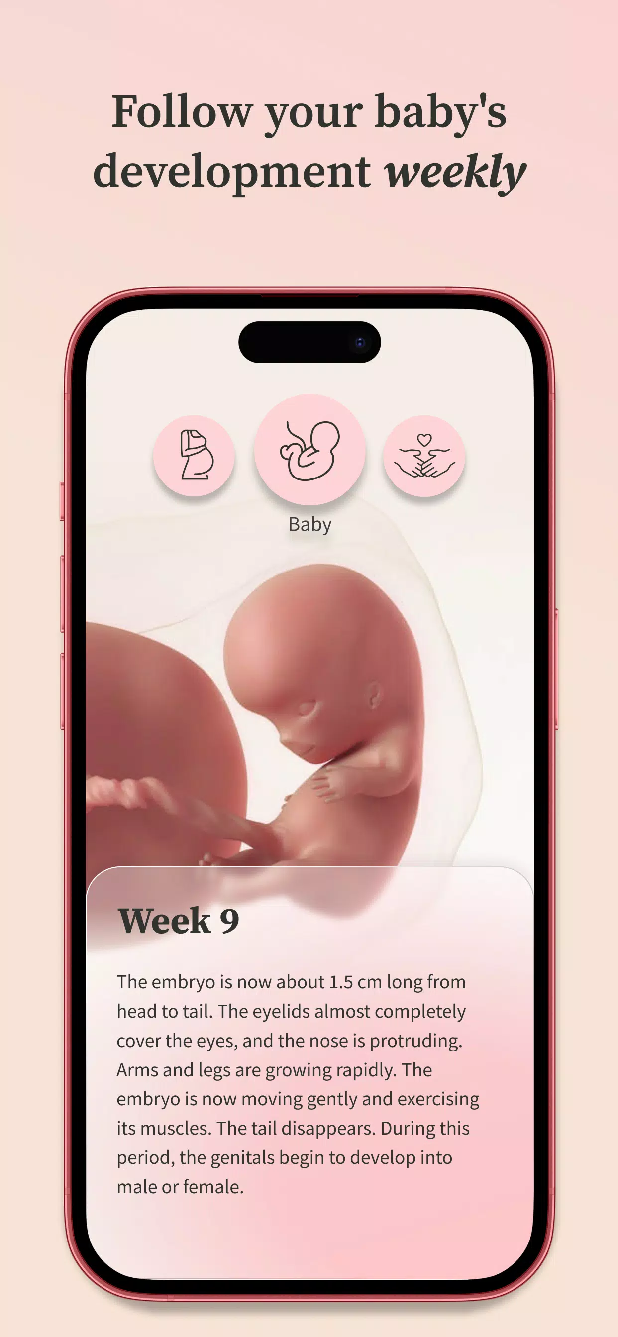 Preglife Screenshot 3