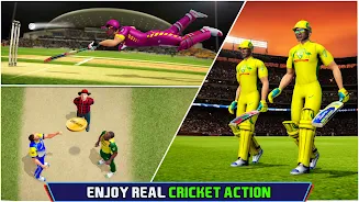 Indian Cricket Championship Screenshot 2