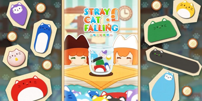 野良猫の落下は、スイカゲームのはるかに低い密度のテイクです
