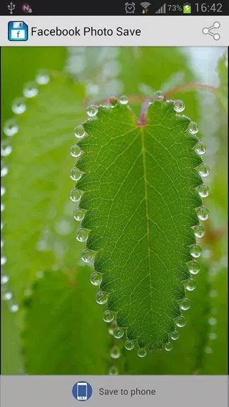 Photo Saver for Facebook Capture d'écran 3