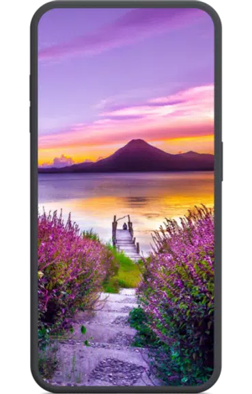 cool nature wallpaper HD應用截圖第2張