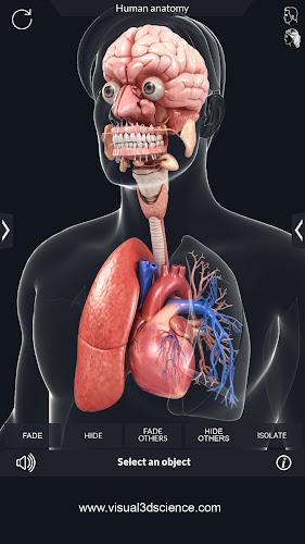 My Organs Anatomy ภาพหน้าจอ 4