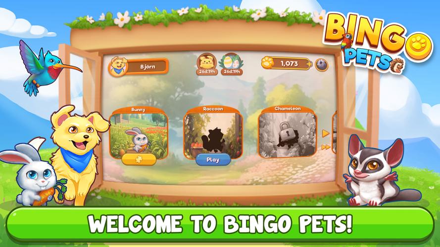 Bingo:  Free the Pets Screenshot 1