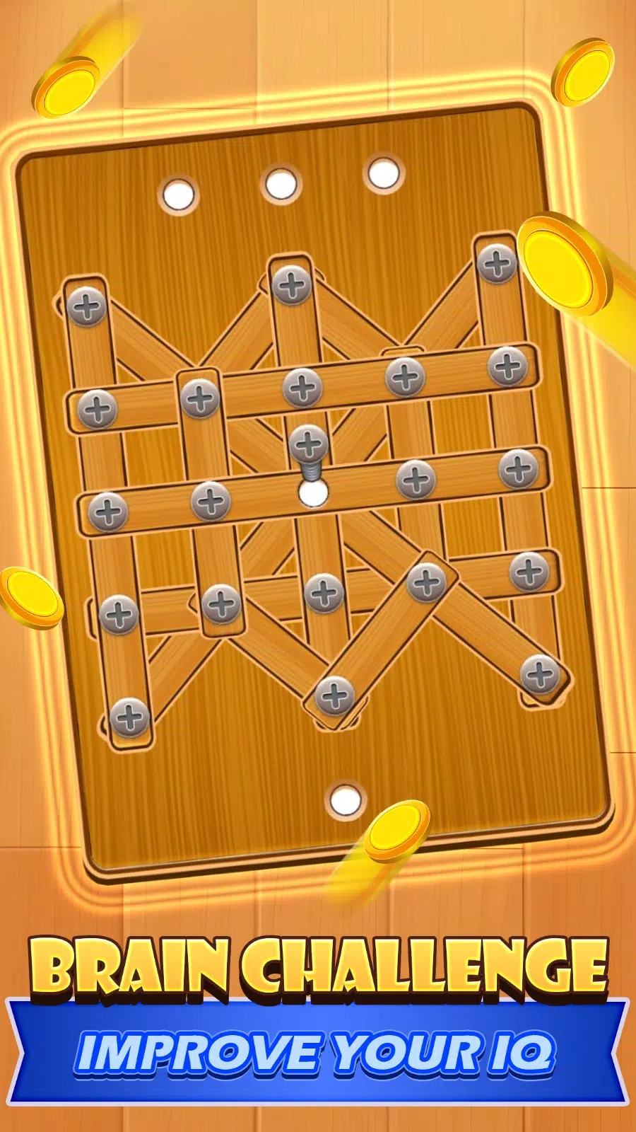 Screw Nuts & Bolt Puzzle 스크린샷 3