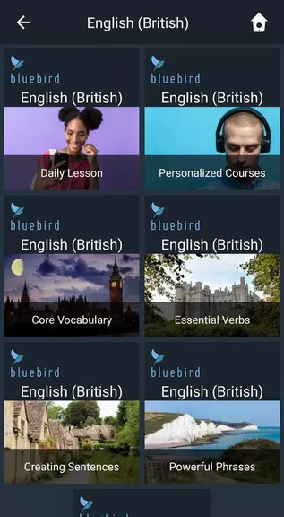 Learn British English. Speak B Ekran Görüntüsü 1