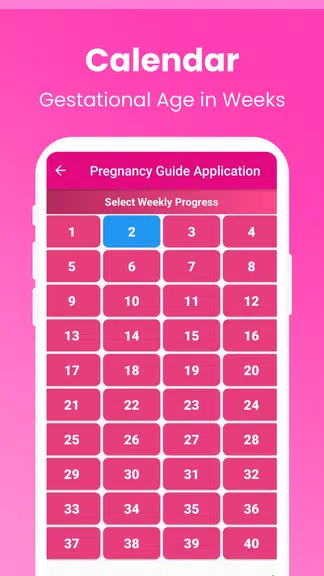 Pregnancy Guide - A Mom スクリーンショット 4