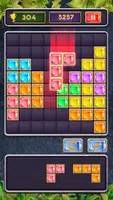 Block Jewel: Brick Puzzle Game Tangkapan skrin 1