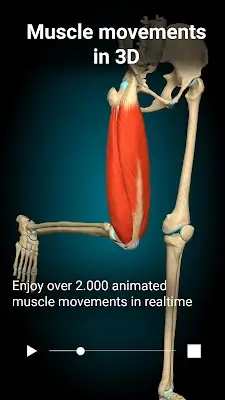 Anatomy Learning - 3D Anatomy ဖန်သားပြင်ဓာတ်ပုံ 2