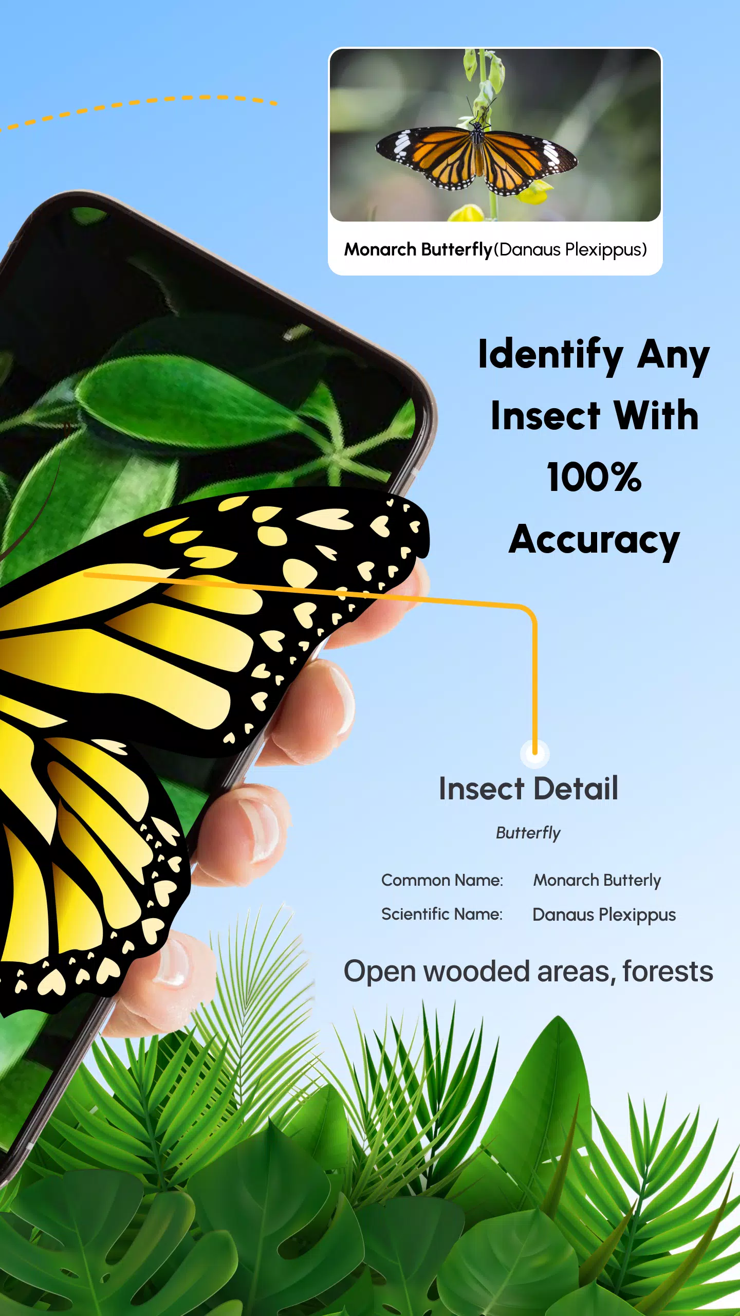 Insect Identifier Bug Identify应用截图第2张