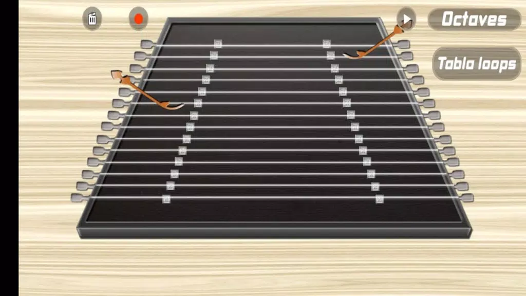 Santoor Pro應用截圖第1張