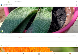 プラントネット (PlantNet) 植物図鑑アプリ スクリーンショット 3
