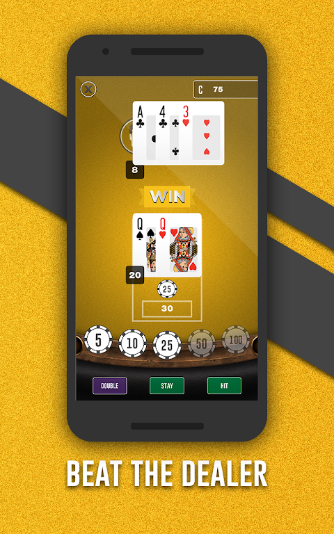 Fortune Joe Casino应用截图第4张