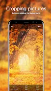 Autumn Wallpapers 4K應用截圖第4張