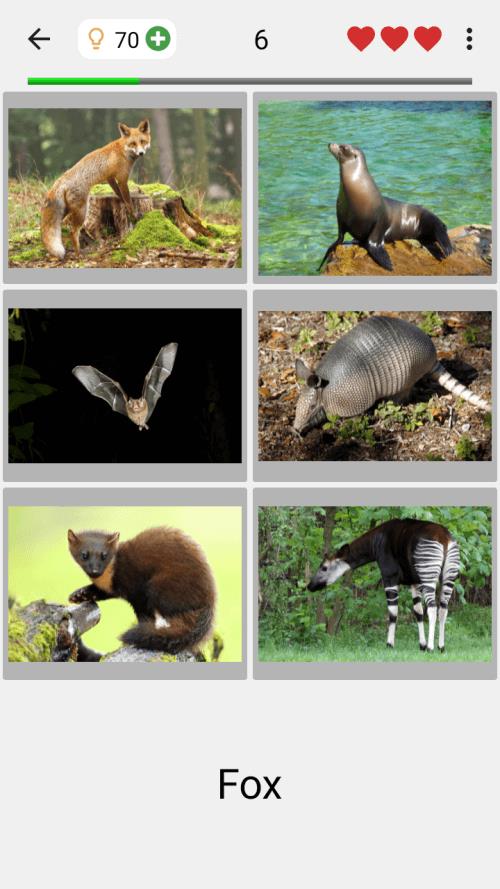 Animals Quiz Learn All Mammals 스크린샷 2