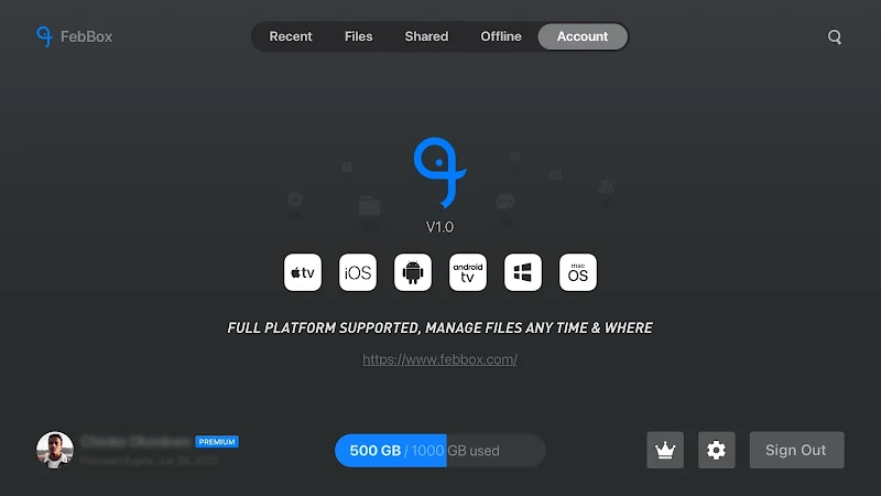 FebBox for TV Screenshot 3