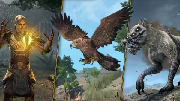 Elder Scrolls subclasses ออนไลน์มาหลังจากแฟน ๆ 11 ปีที่ร้องขอ