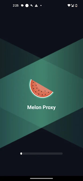 Melon Proxy スクリーンショット 1