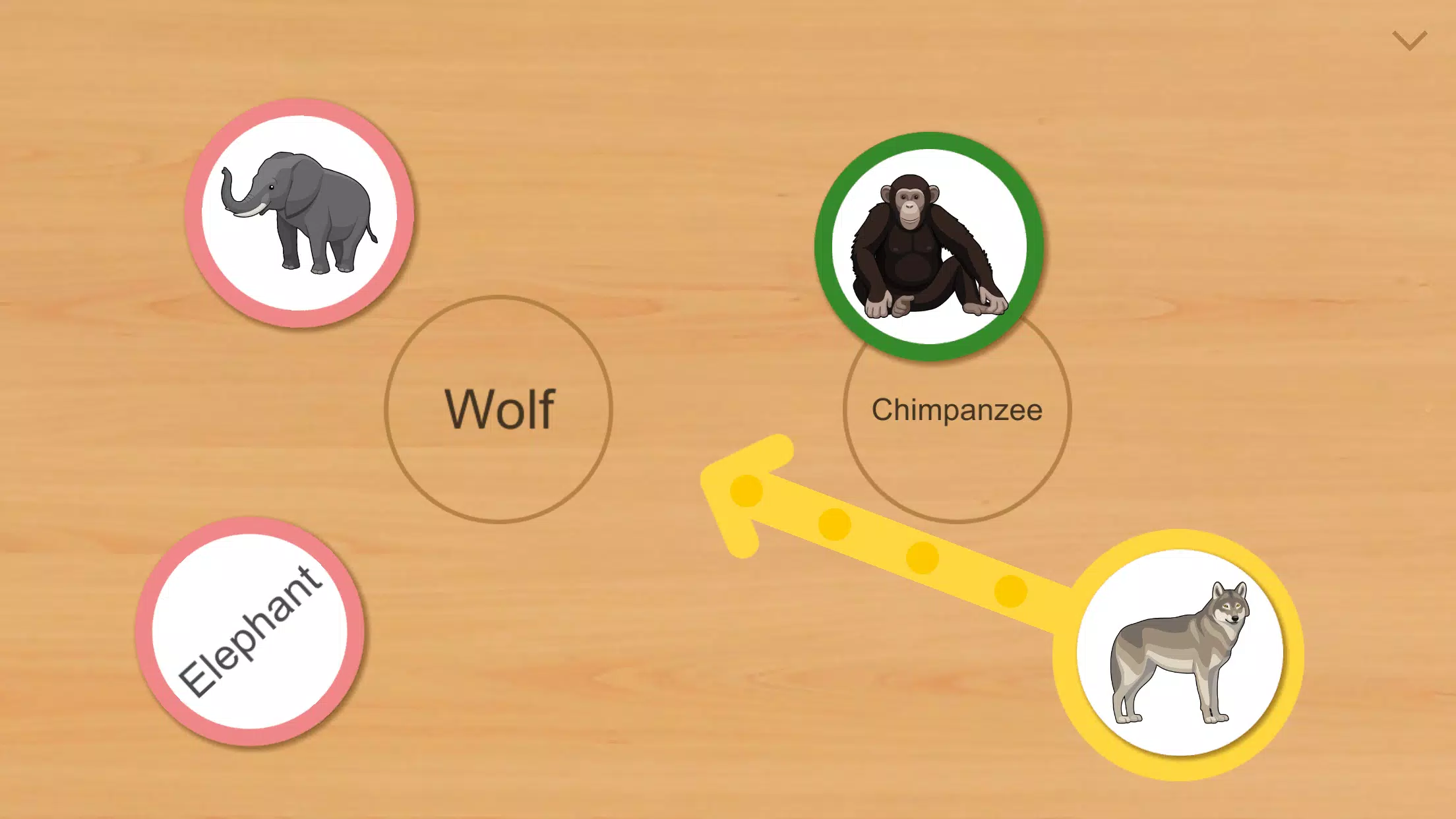 Animal Card Matching ภาพหน้าจอ 2