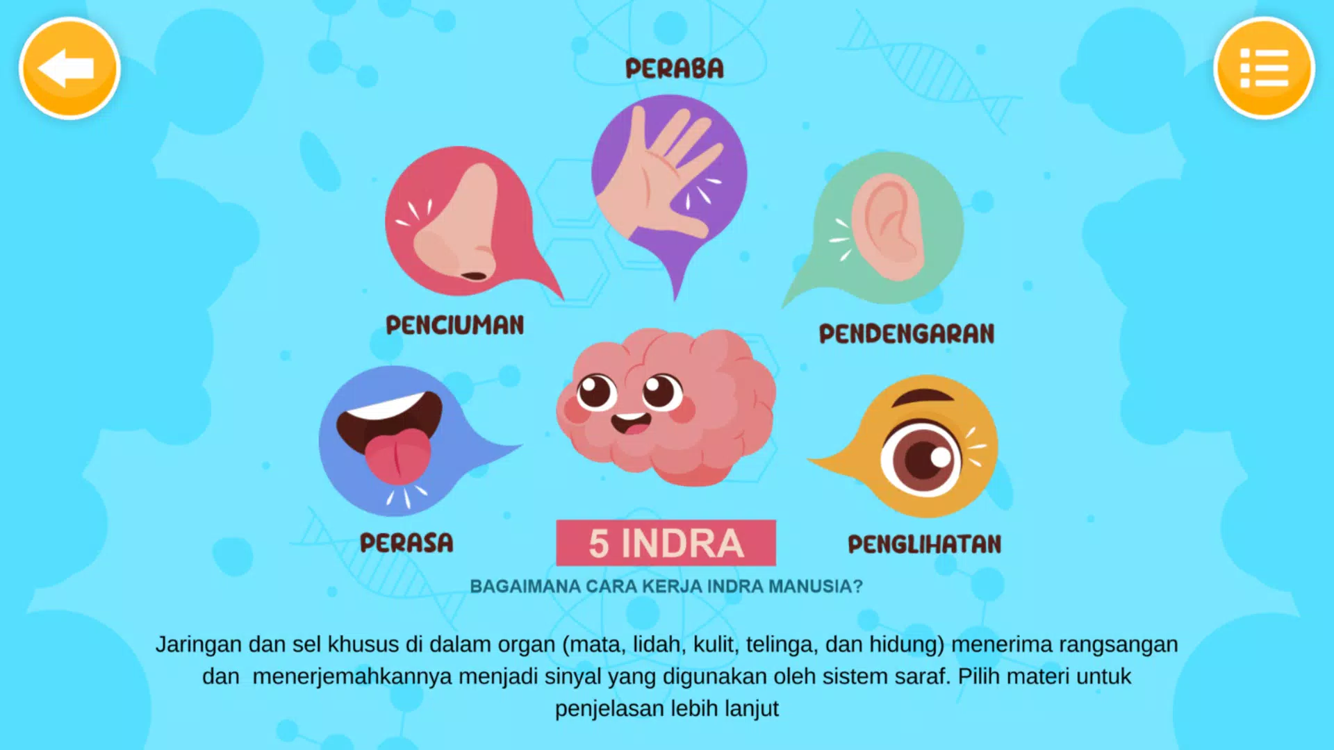 Sistem Indra Manusia Ảnh chụp màn hình 2