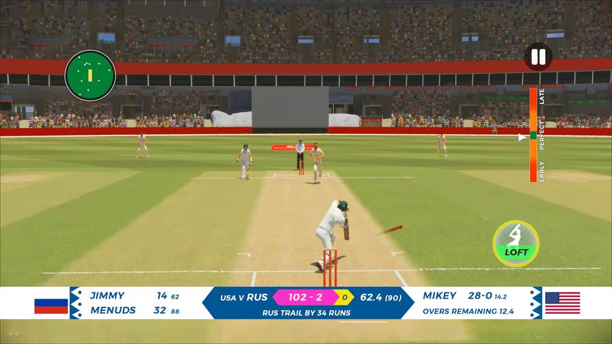 Real T20 Cricket Games 2023应用截图第4张