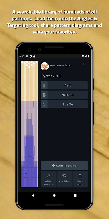 Tenpin Toolkit: Bowling Tools應用截圖第4張