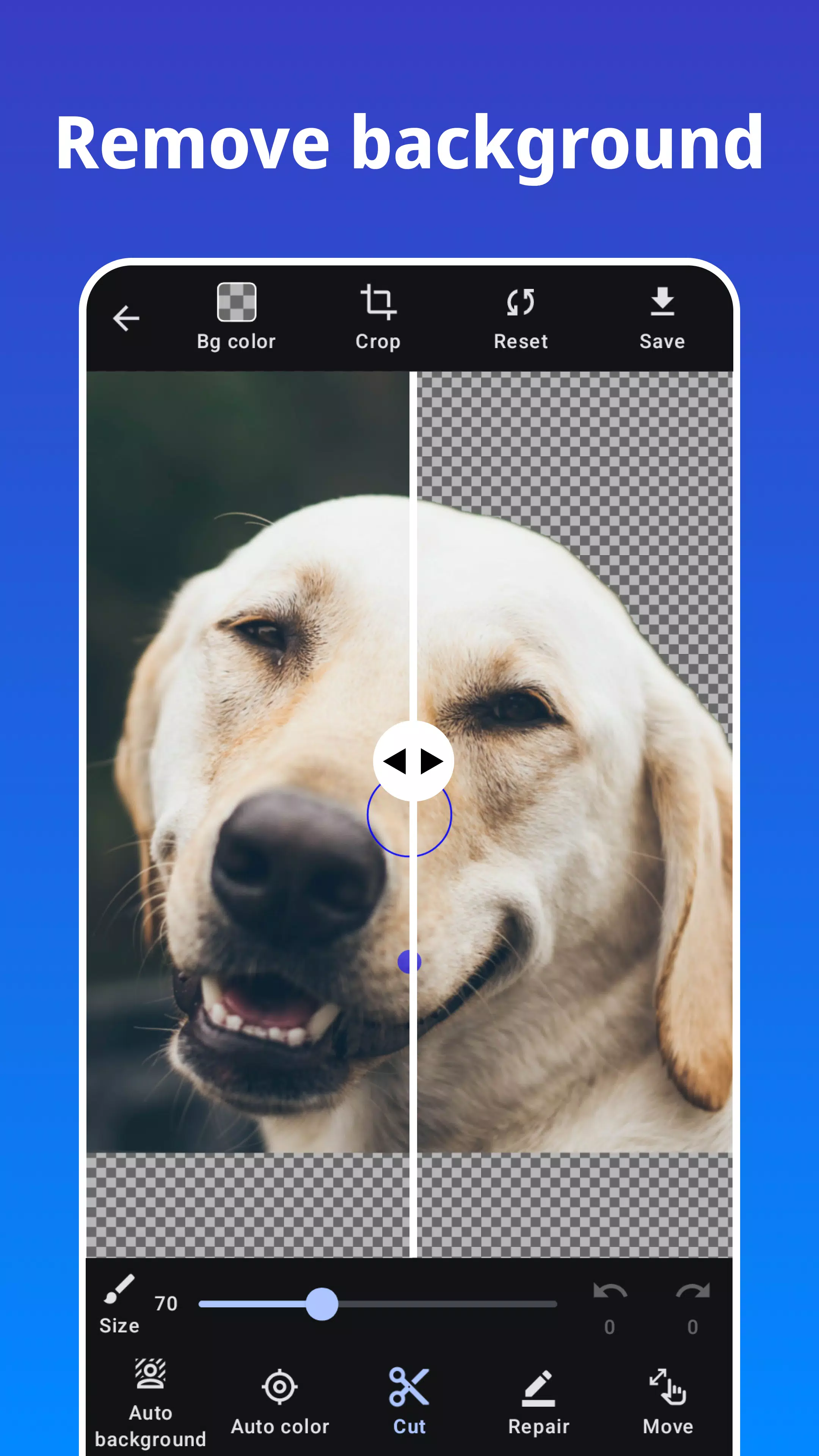 Photo Blur ภาพหน้าจอ 3