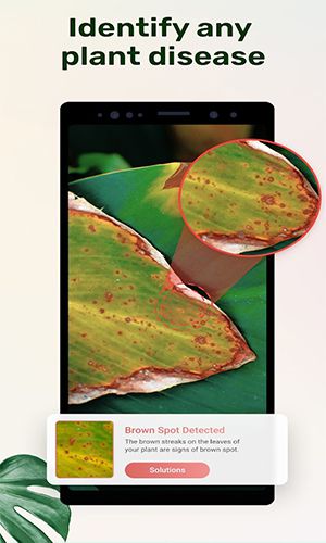 Plant Parent: Plant Care Guide Captura de pantalla 1